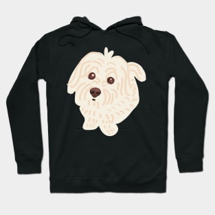 Cute Maltipoo Looking Innocent Hoodie